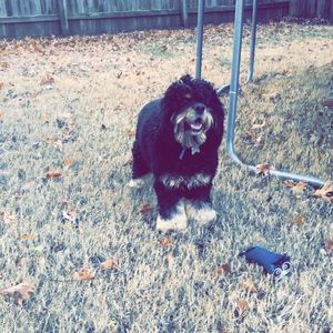 Meet your Posher, Mia